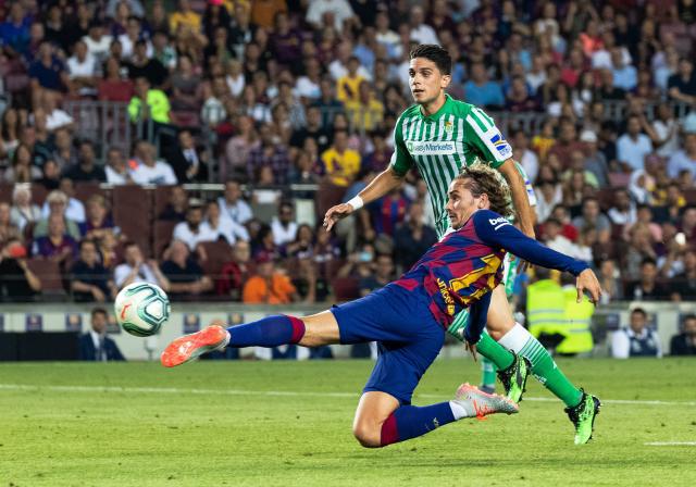 的资深成员 的资深成员